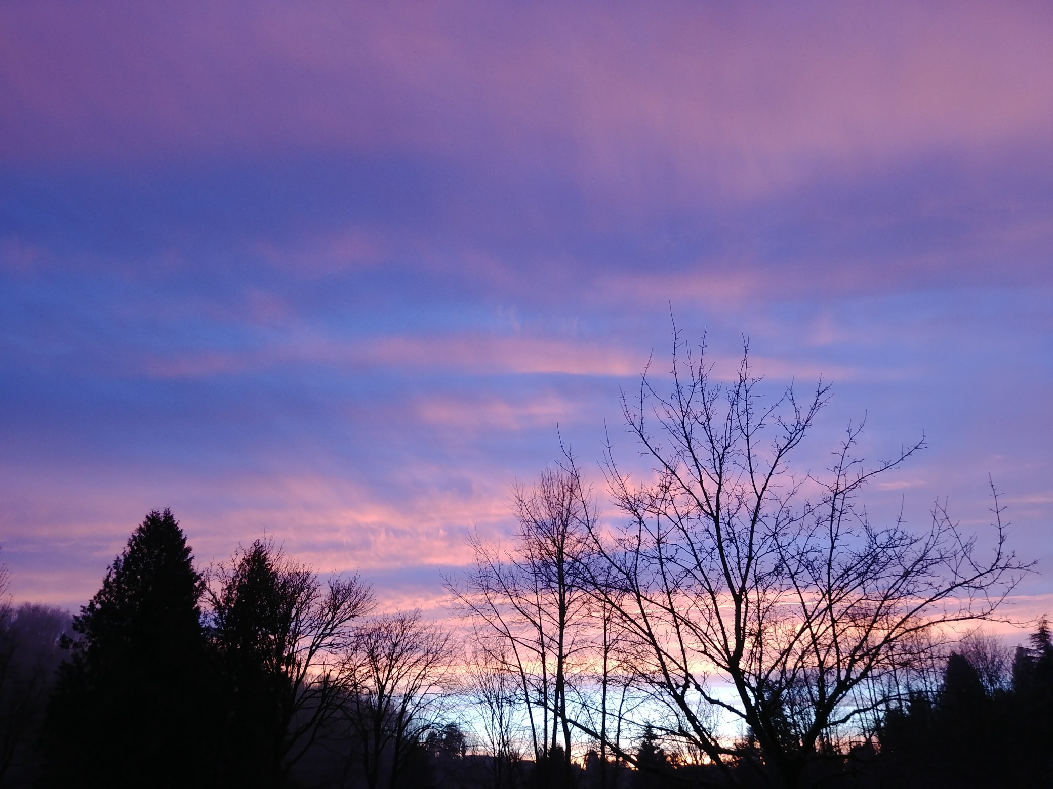 20180113_165018_resized copy.jpg