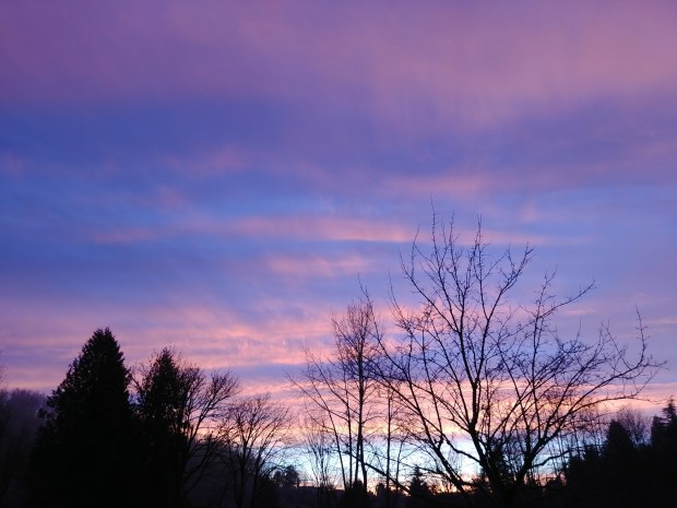 20180113_165018_resized copy.jpg