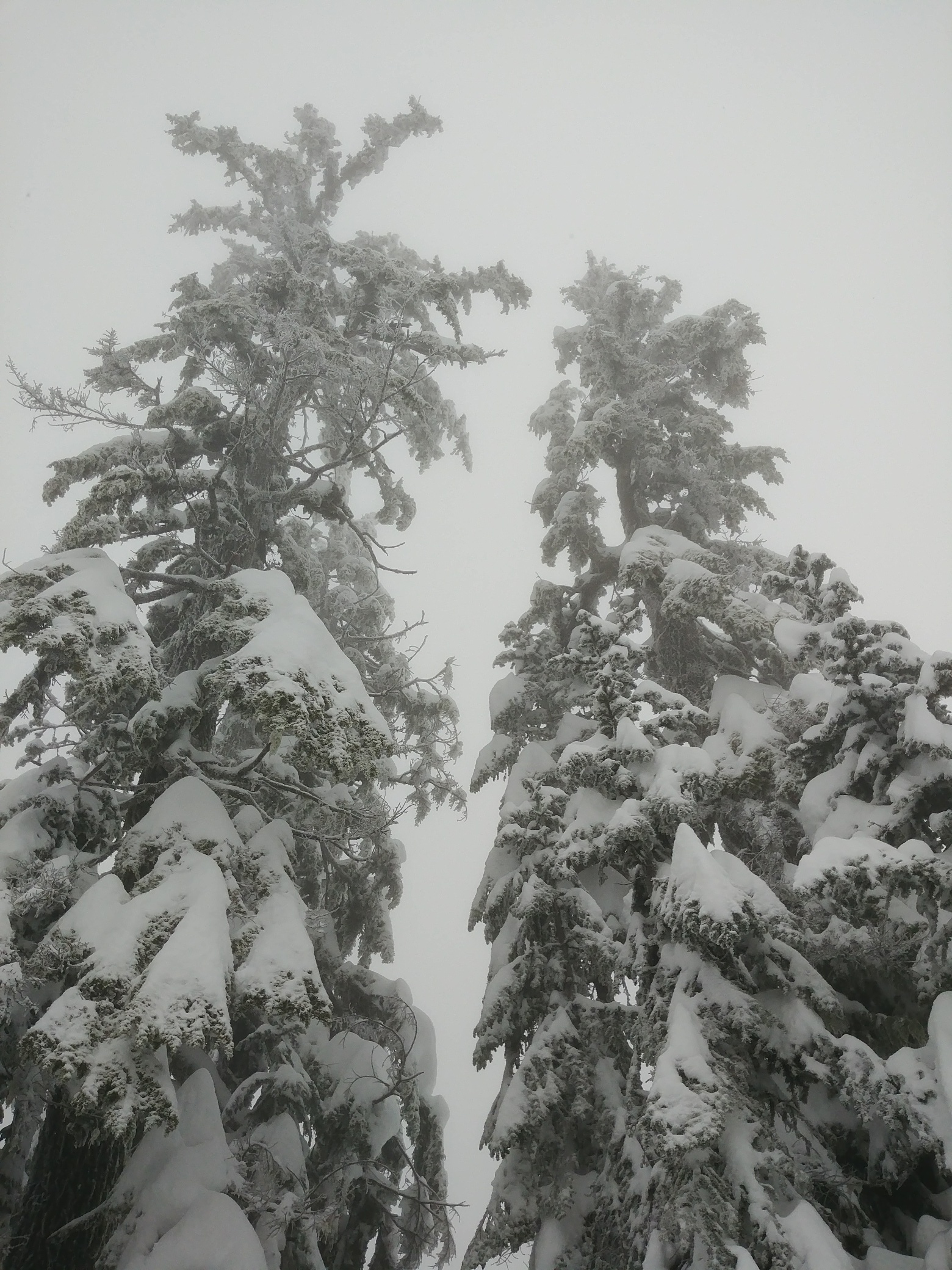 20180126_105012_resized copy.jpg