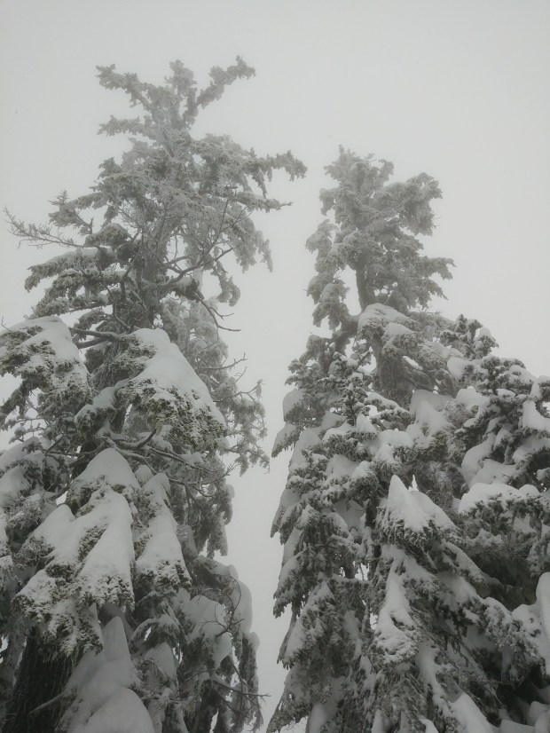 20180126_105012_resized copy.jpg