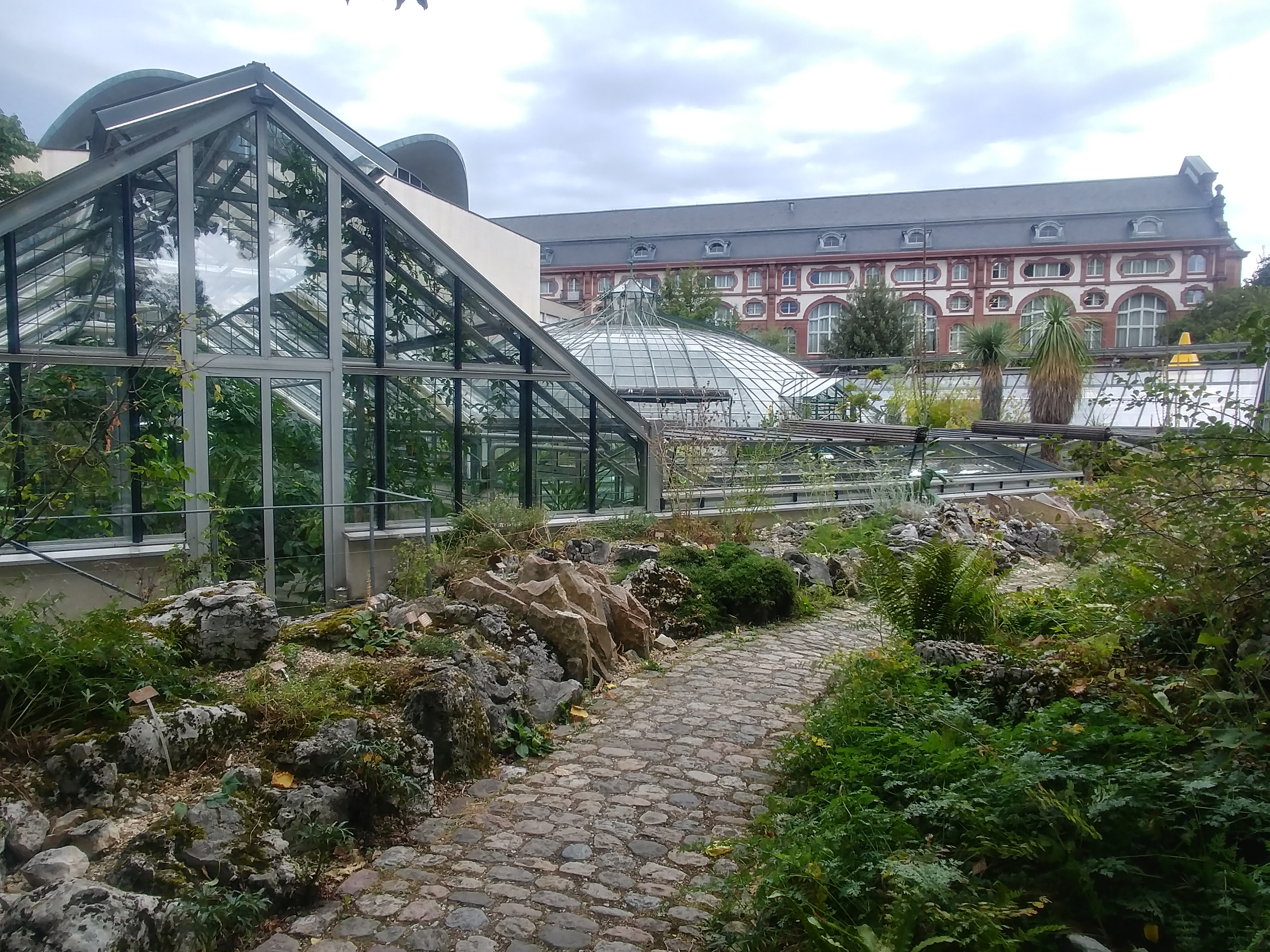 20180829_145002_HDR.jpg