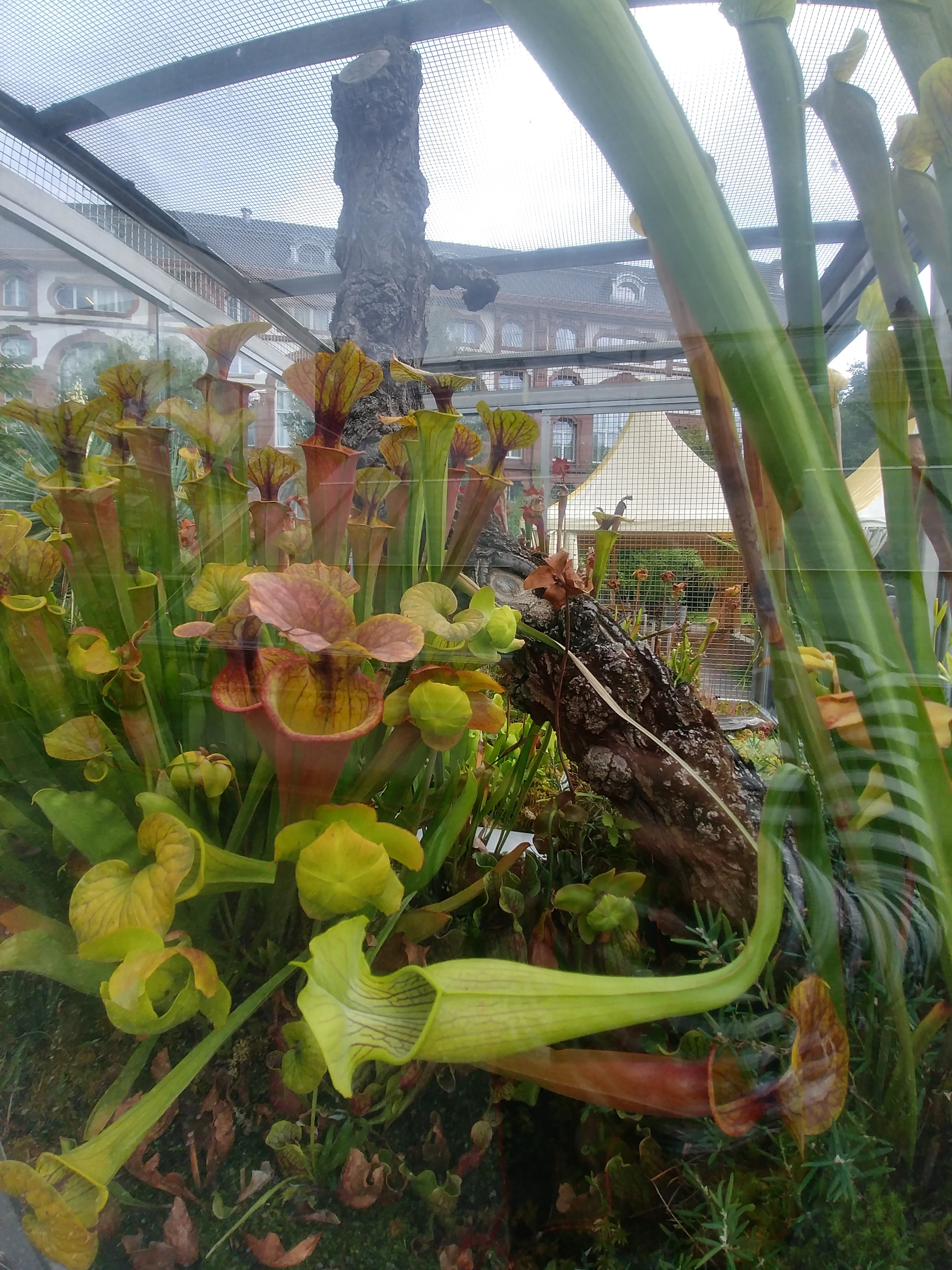 20180829_145623_HDR.jpg