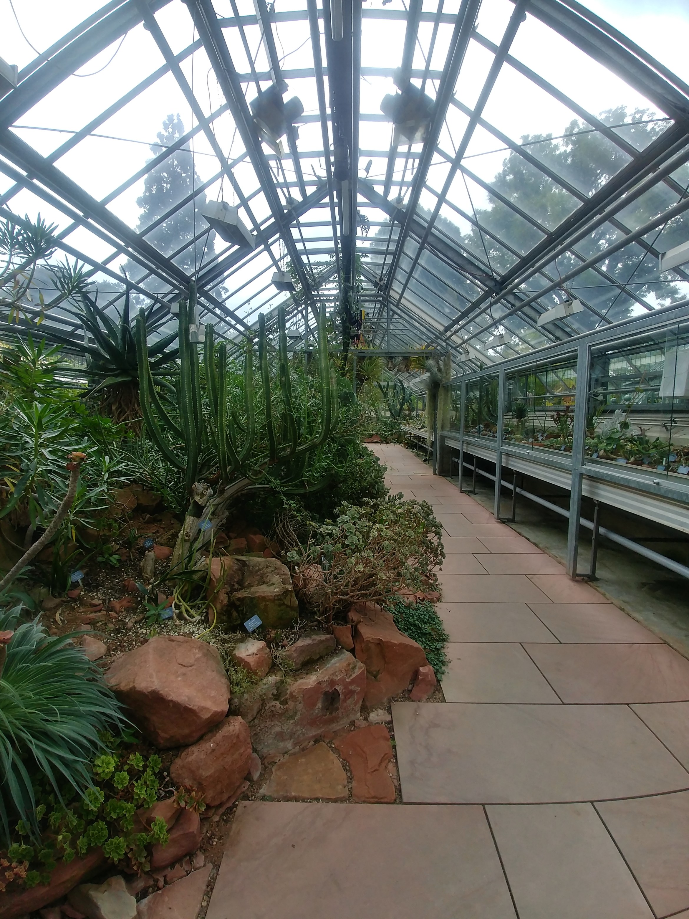 20180829_145734_HDR.jpg