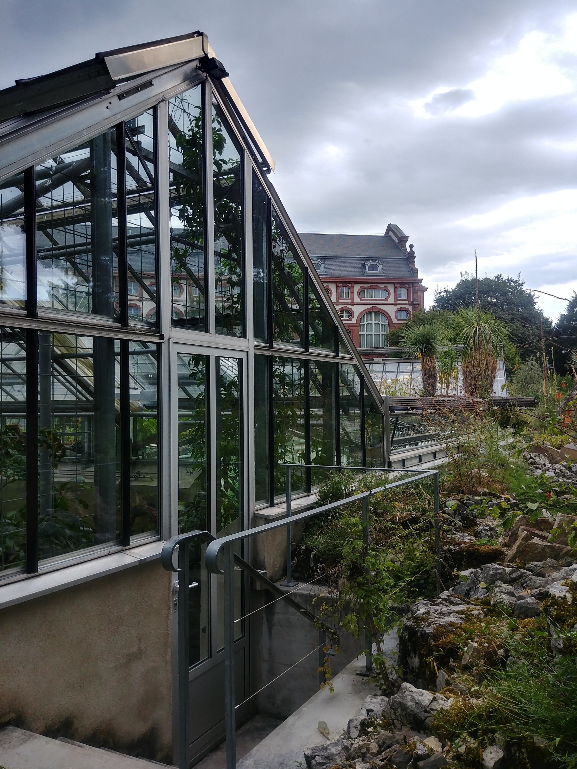 20180829_150100_HDR.jpg