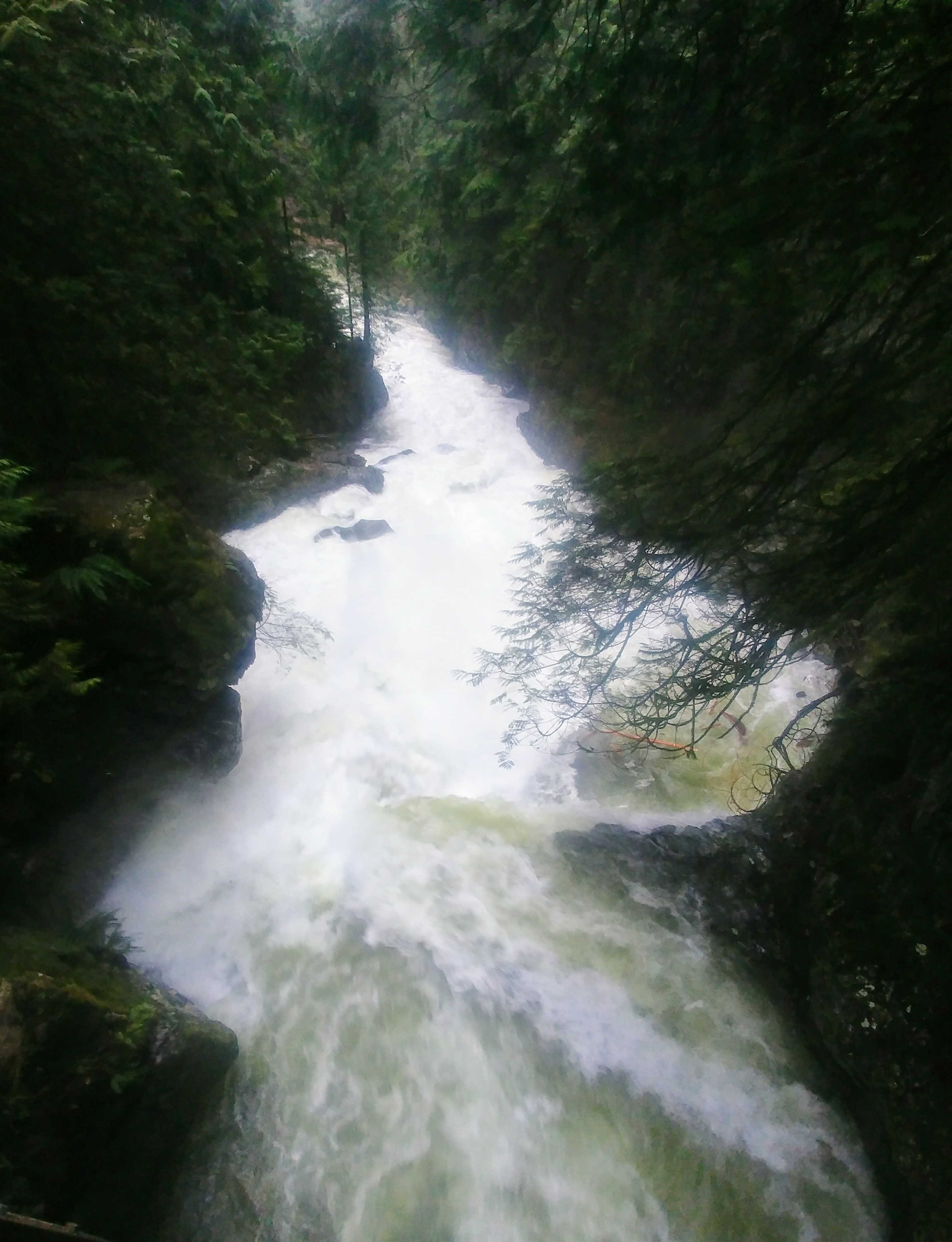 20200103_120241~3.jpg