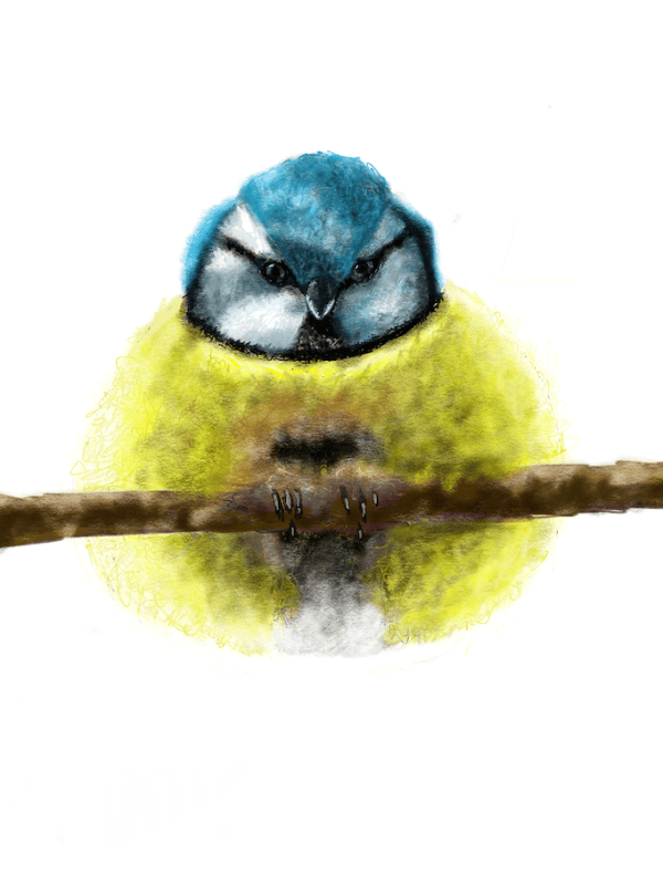SI