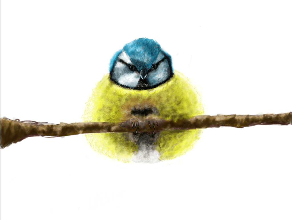SI